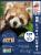 国際レッサーパンダデー2022ポスター(日本平動物園)