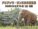 アジアゾウ・ダンボ59さいの誕生会