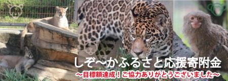 日本平動物園に新しい仲間を迎えよう!　～目標額達成!ご協力ありがとうございました～