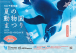 夏の動物園まつりポスター
