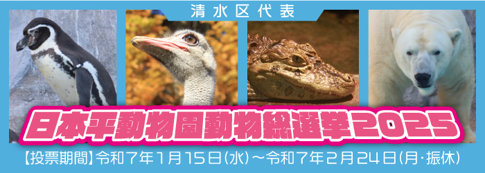 【イベント】日本平動物園 動物総選挙2025